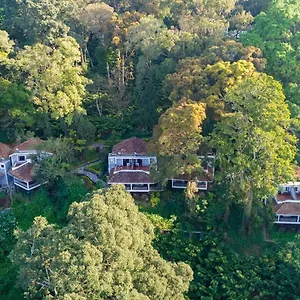the-tall-trees.kerala-hotels.net/